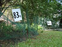 Backyard_left_field_and_center_2