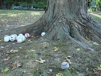 Baseball_balls_next_to_tree_1