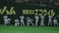 Japan_trip_calisthenics