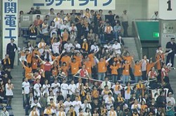 Japan_trip_fans_in_right